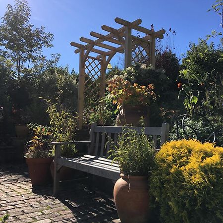 哈斯丁Anne'S House住宿加早餐旅馆 外观 照片